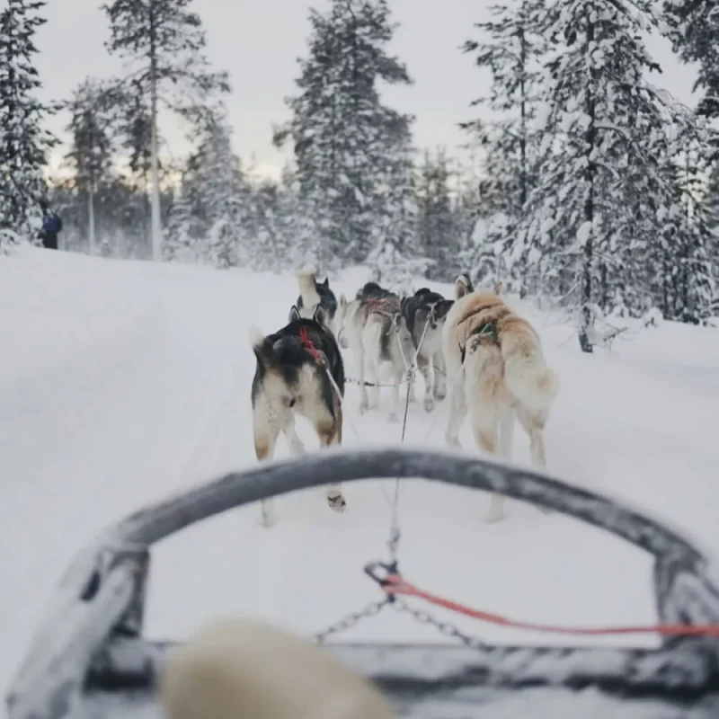 极光列车 · 芬兰4天3晚圣诞老人村之旅
