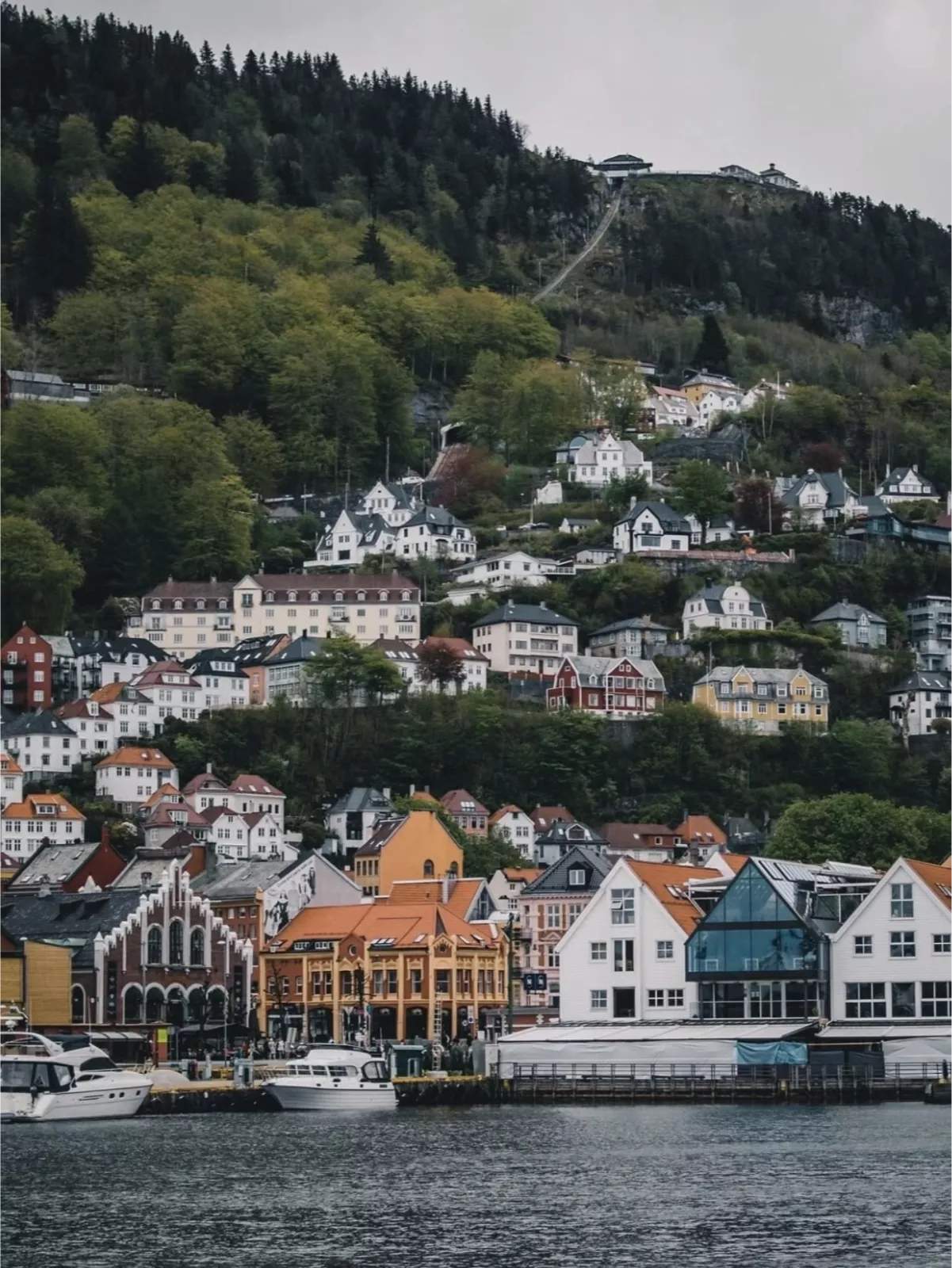 峡湾秘境 · 挪威4天3晚 - 图片 4